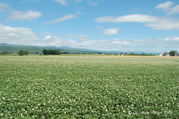 130731_hokkaido004
