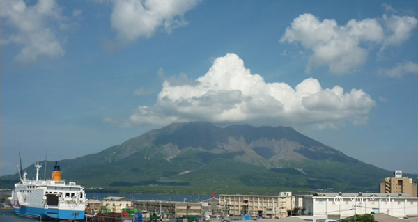 社屋から見た桜島