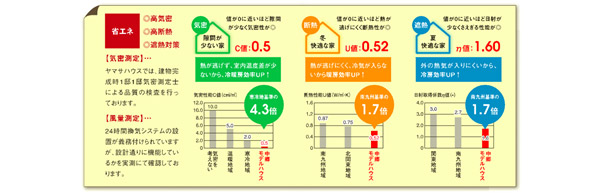 140206_kagoshima019