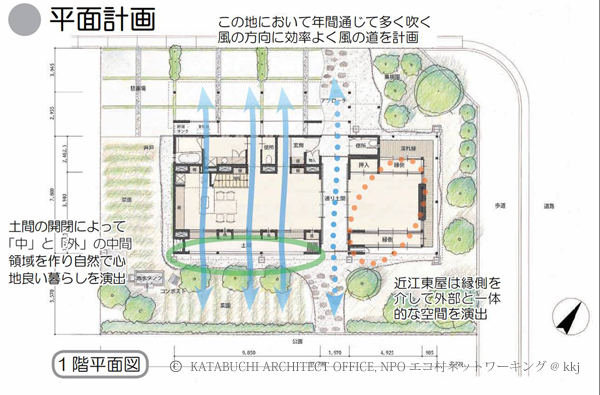 平面図