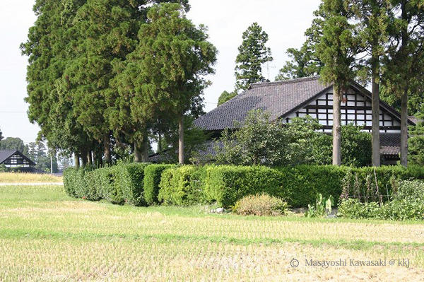 カイニョ(屋敷林)に囲まれたアズマダチ(切妻造り)の屋敷