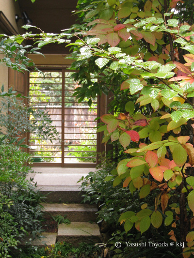 南禅寺の家。紅葉前11月の様子。