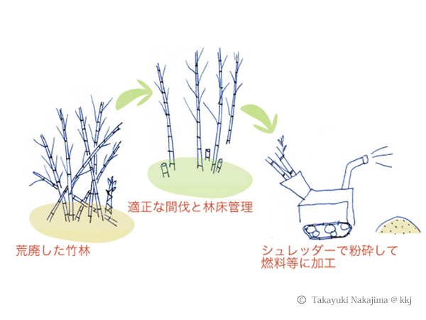 荒廃竹林の整備
