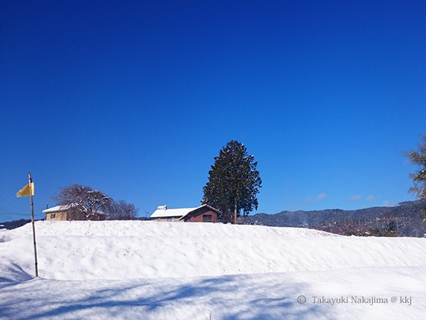 平成29年1月 玄関先からの風景