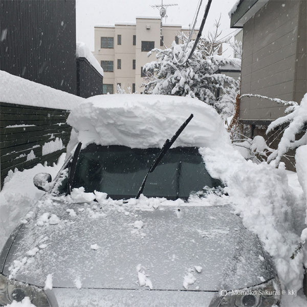 12/23 の朝 再び雪かきにげっそり 今年に入って鳥取の方でも豪雪がありましたね。大変さお察しします。